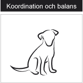 Koordination och balans