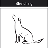 Stretching