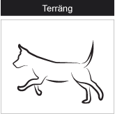 Terräng